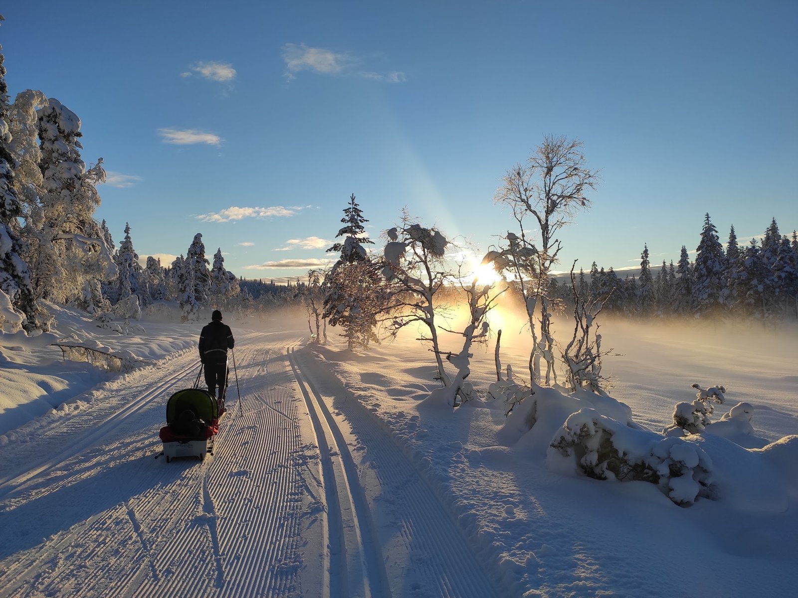 Narciarstwo biegowe. Jak zacząć?