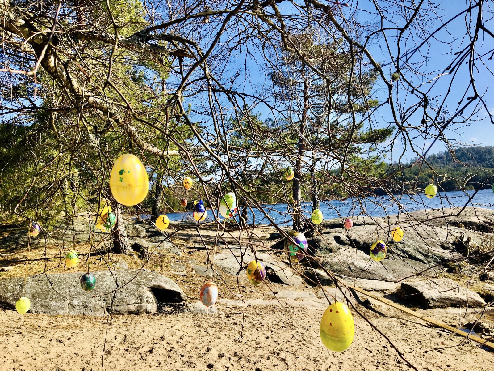 Gdzie pojechać? Mikrowycieczki