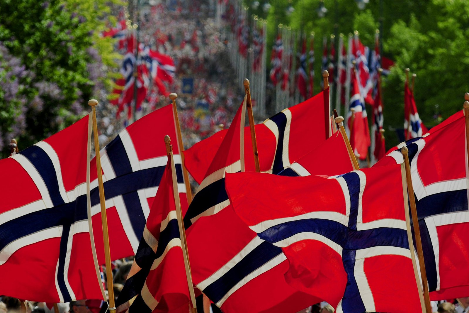 6 rzeczy, które mogą Cię zaskoczyć na początku pobytu w Norwegii