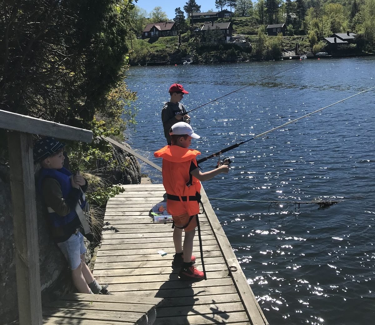 A dlaczego wieloryby mają płuca?