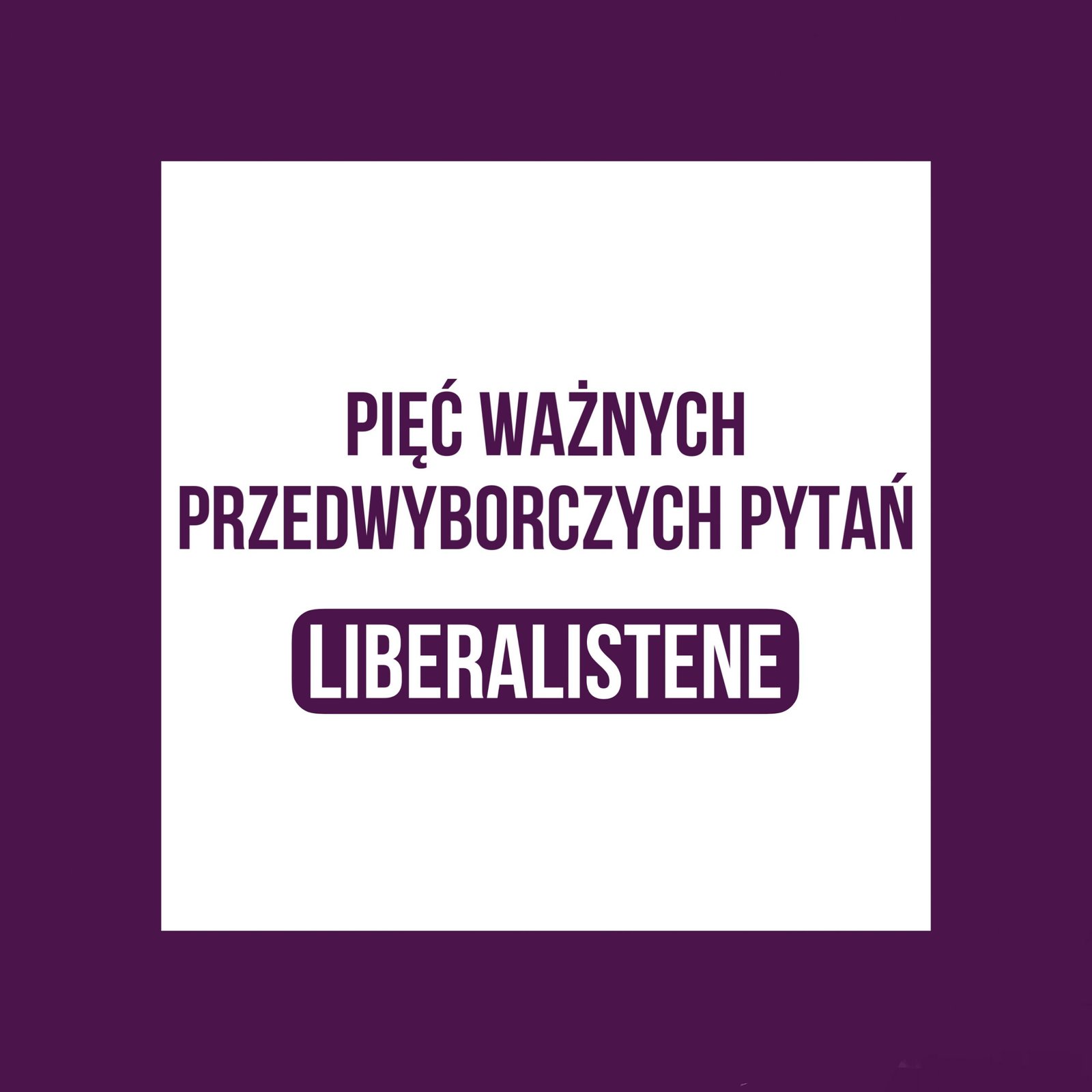 Liberałowie. Co proponują?