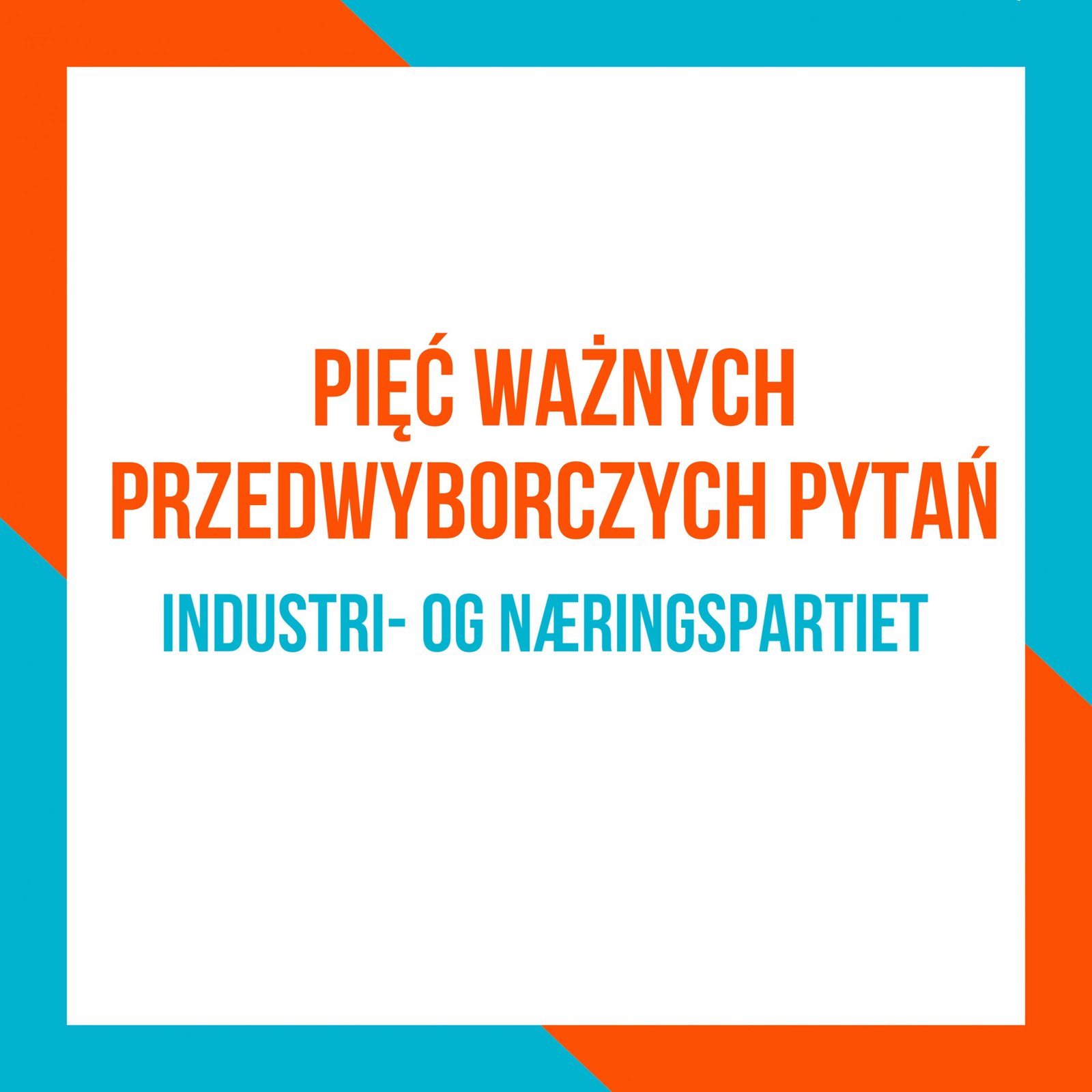 Industri- og Næringspartiet. Co proponuje?
