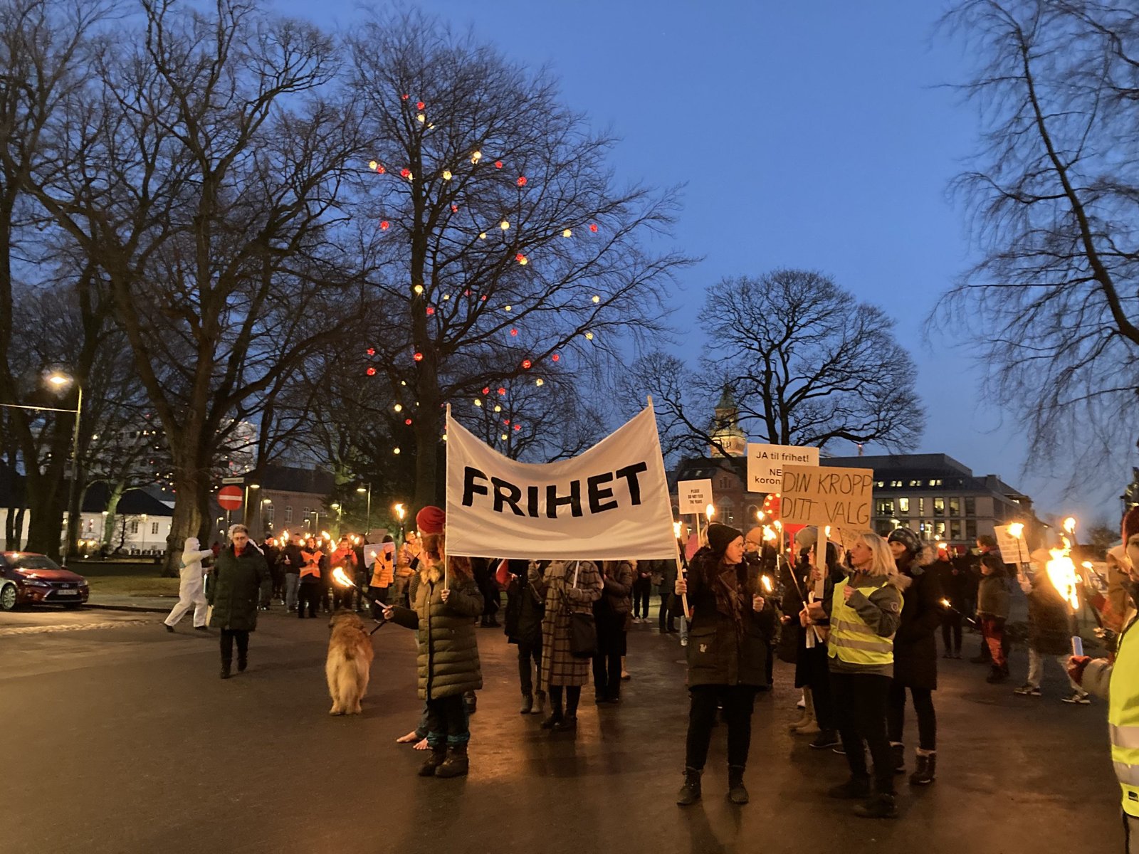 Til forsvar for friheten