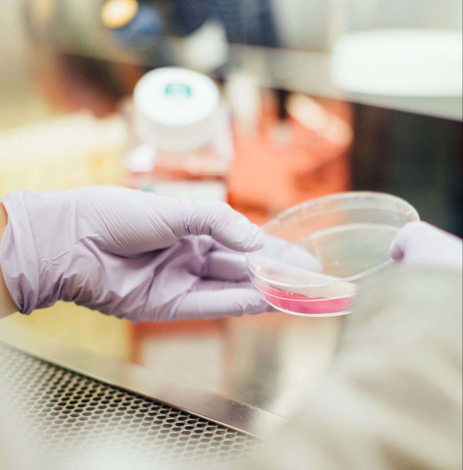 Po raz pierwszy znaleziono mikroplastik w ludzkiej krwi