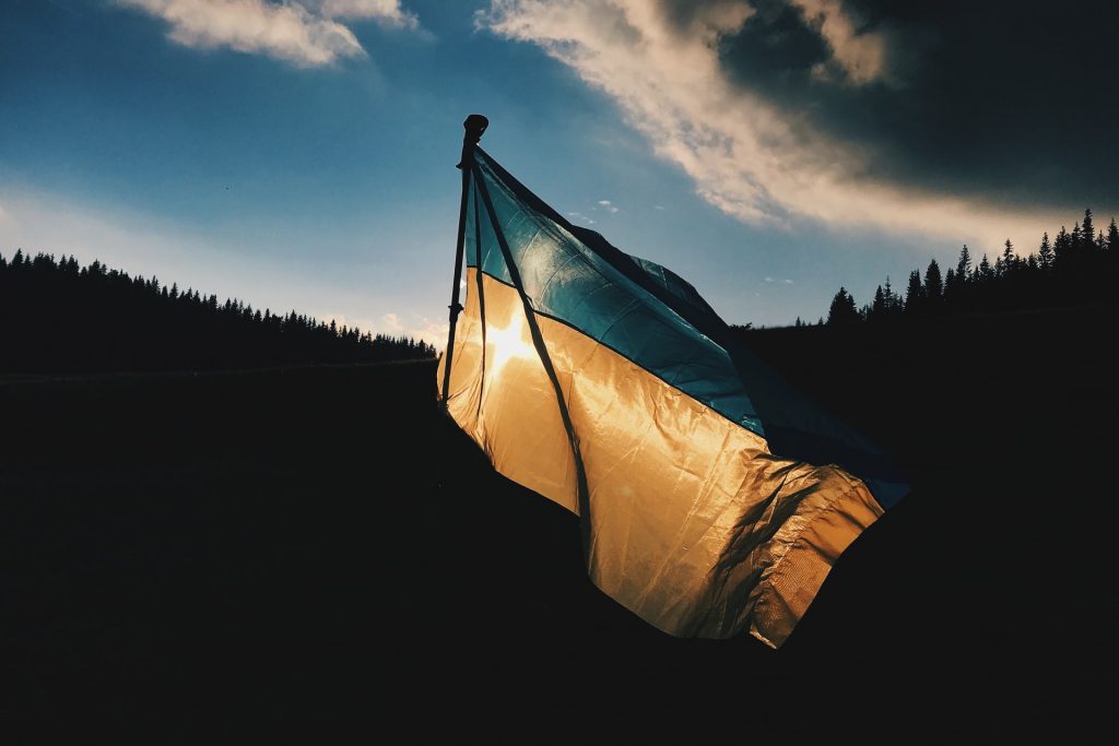 flaga ukrainy na tle lasu i nieba