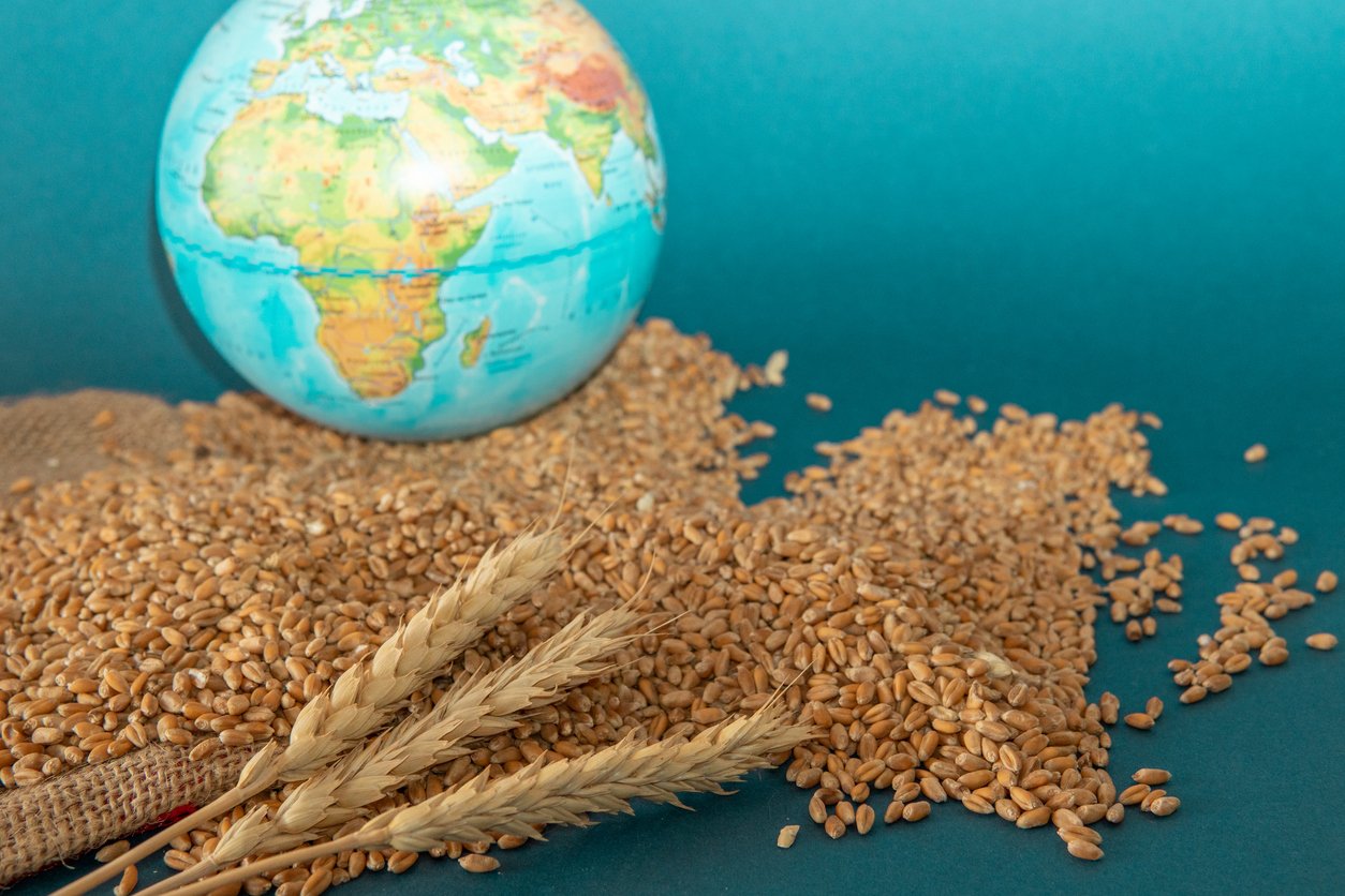 Żywność jako broń polityczna. Kryzys