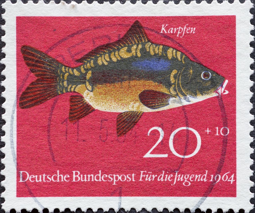 Hip hip hurra i rowerem w sobotę