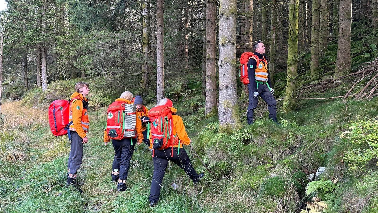 Siedmioletni chłopiec zaginął w lesie. Trwają intensywne poszukiwania