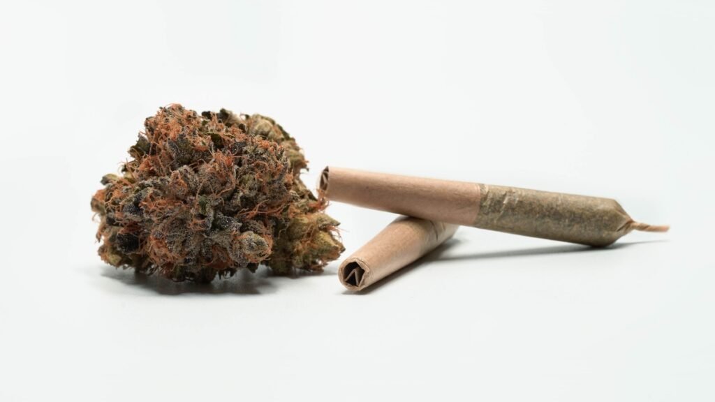 Kontrowersje wokół limitu THC u kierowców w Norwegii: Czy obowiązujące przepisy są sprawiedliwe?