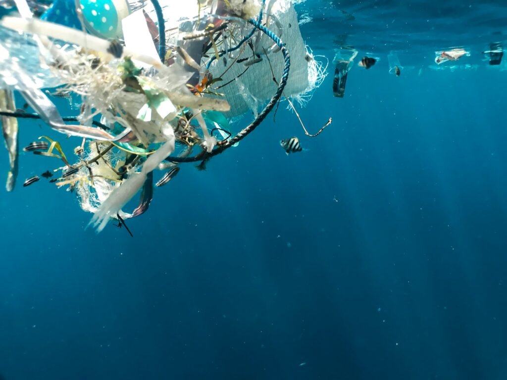400 ton lin z łodzi rybackich trafia do norweskich wód każdego roku