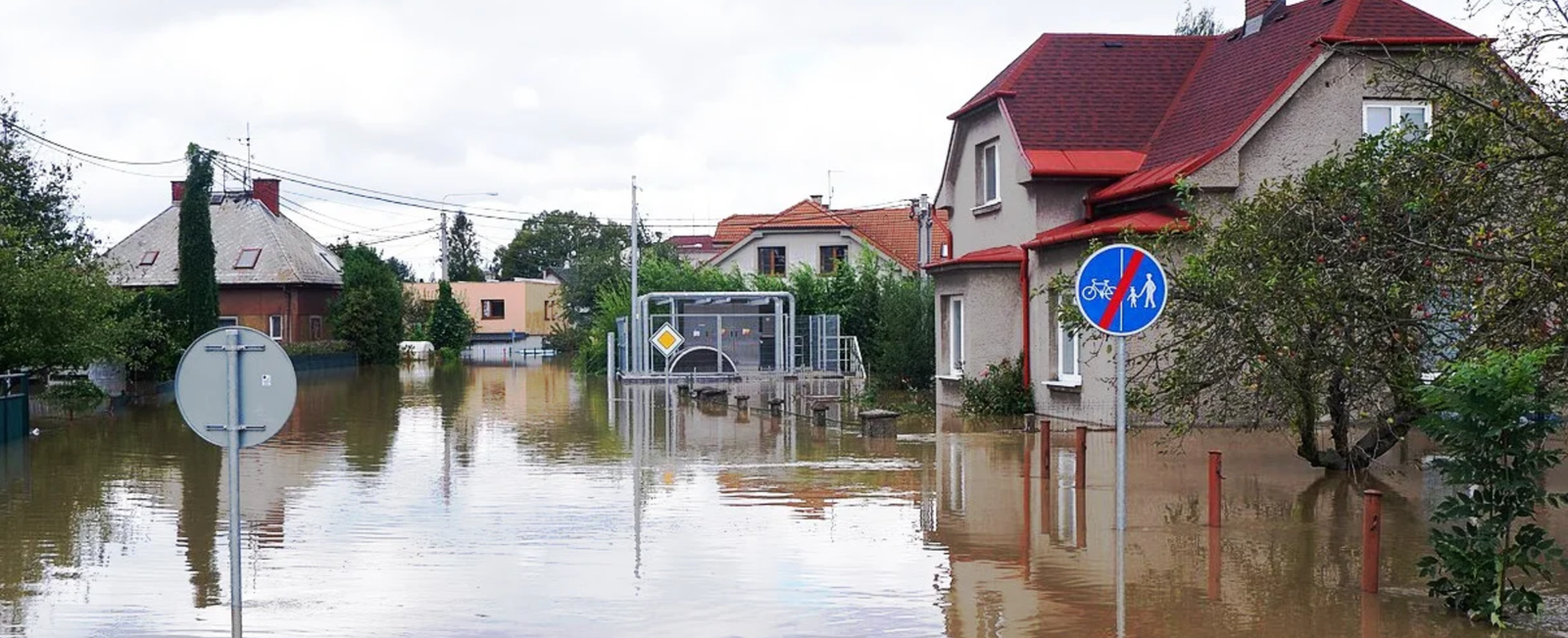 Zielone NGO powinny odpowiedzieć za blokowanie inwestycji przeciwpowodziowych