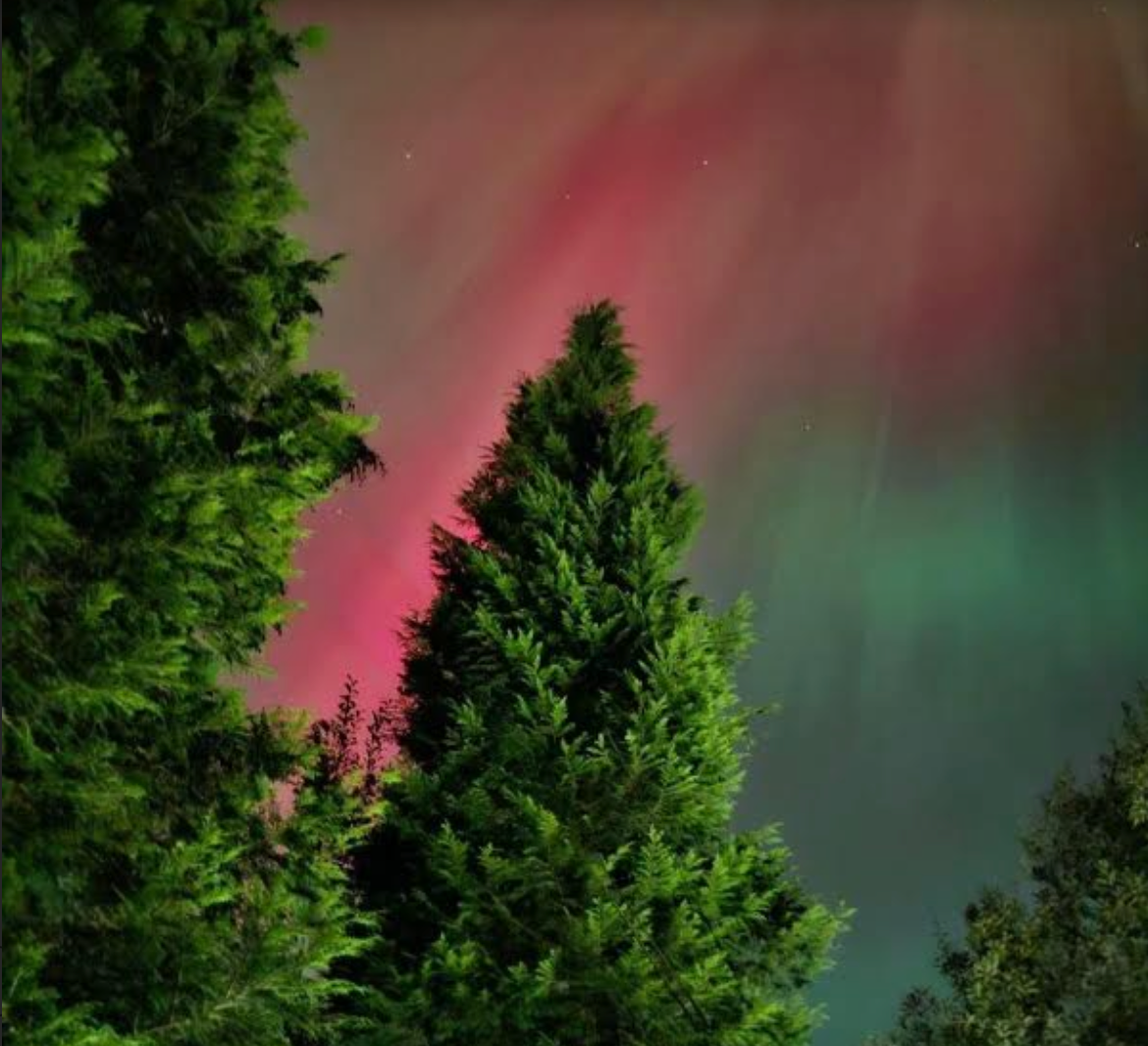 Przegapiłeś wczorajszą zorzę? Powinno udać się dziś wieczorem