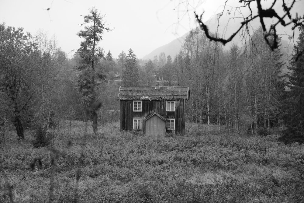 Wisielec z Finnskogen