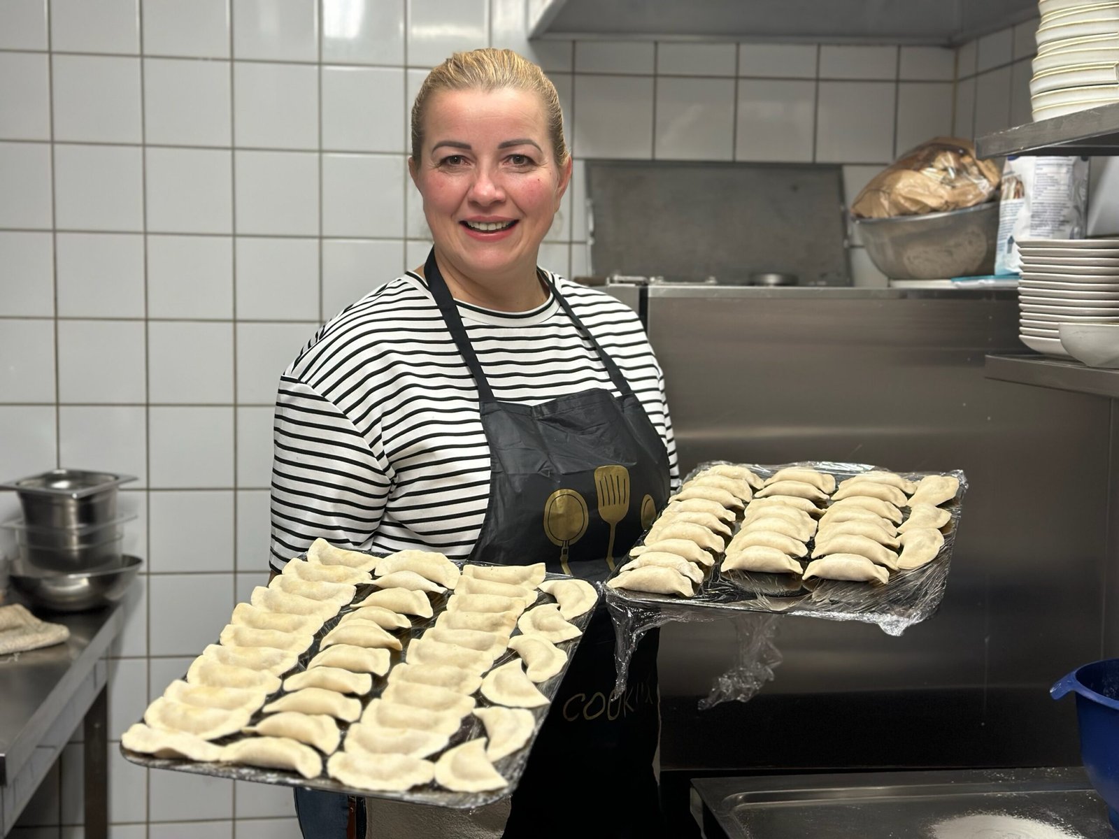 En fargerik fugl på et grått Grønland