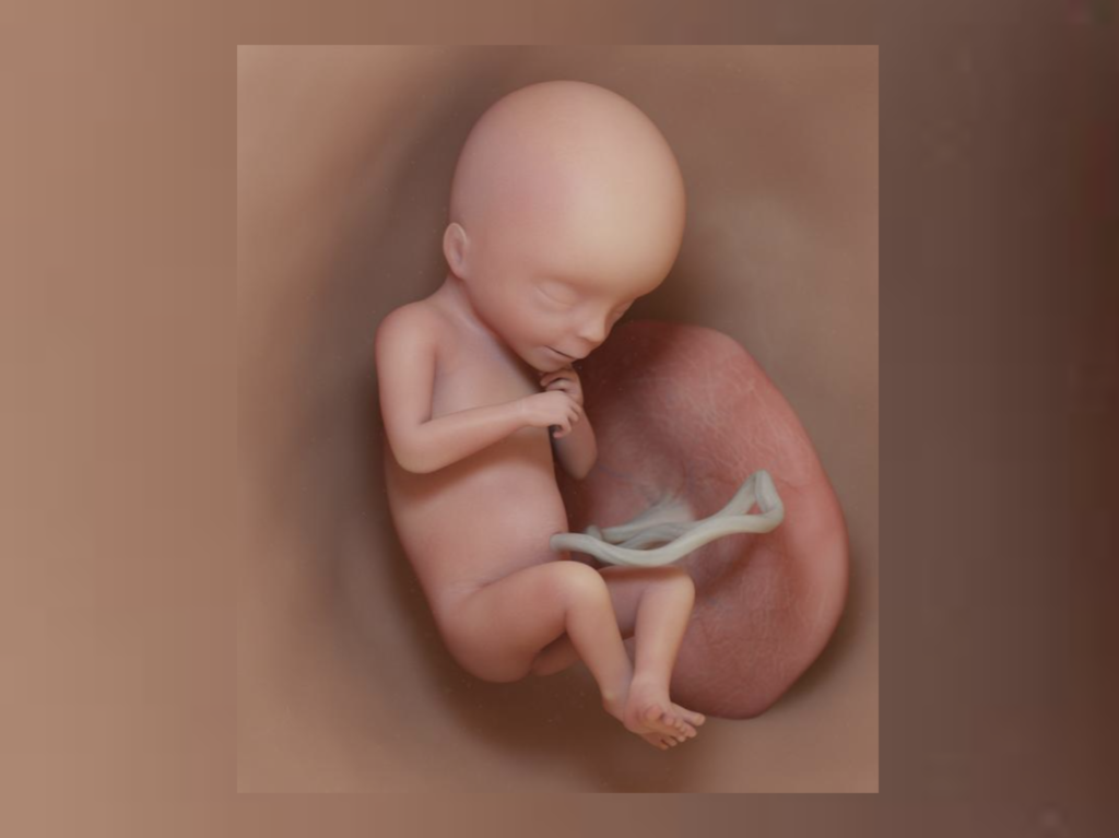 Nowa ustawa aborcyjna rządu norweskiego