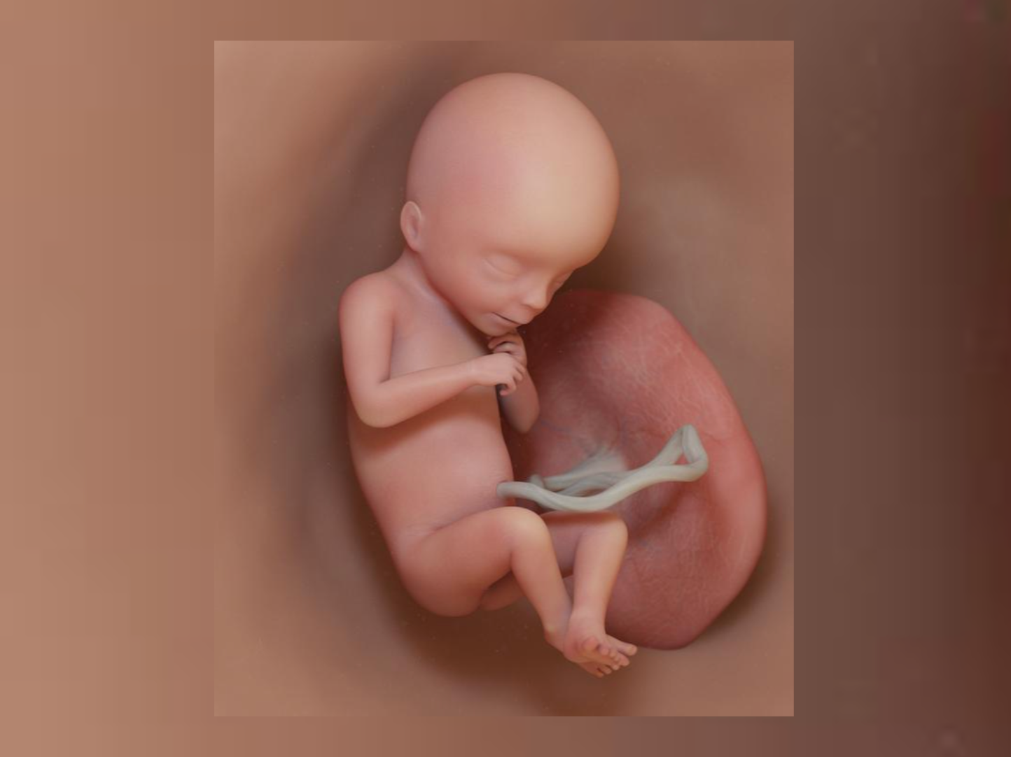 Nowa ustawa aborcyjna rządu norweskiego