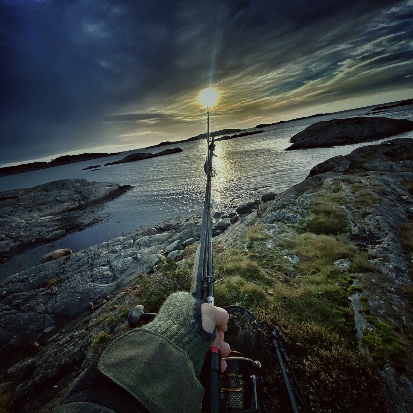 Оживи свою душу в дикій природі