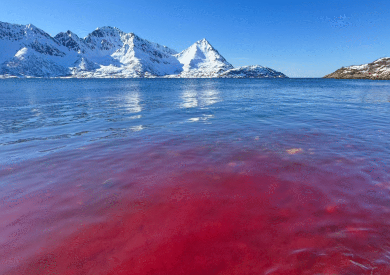 czerwona woda, Finnmark