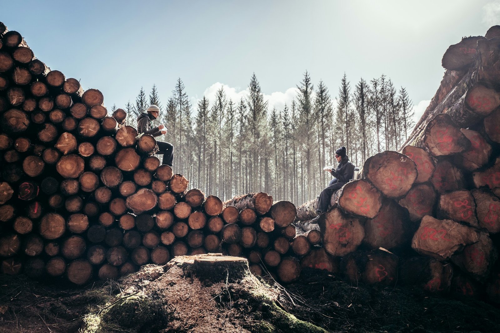 Europa traci zieleń w zawrotnym tempie – Norwegia w czołówce