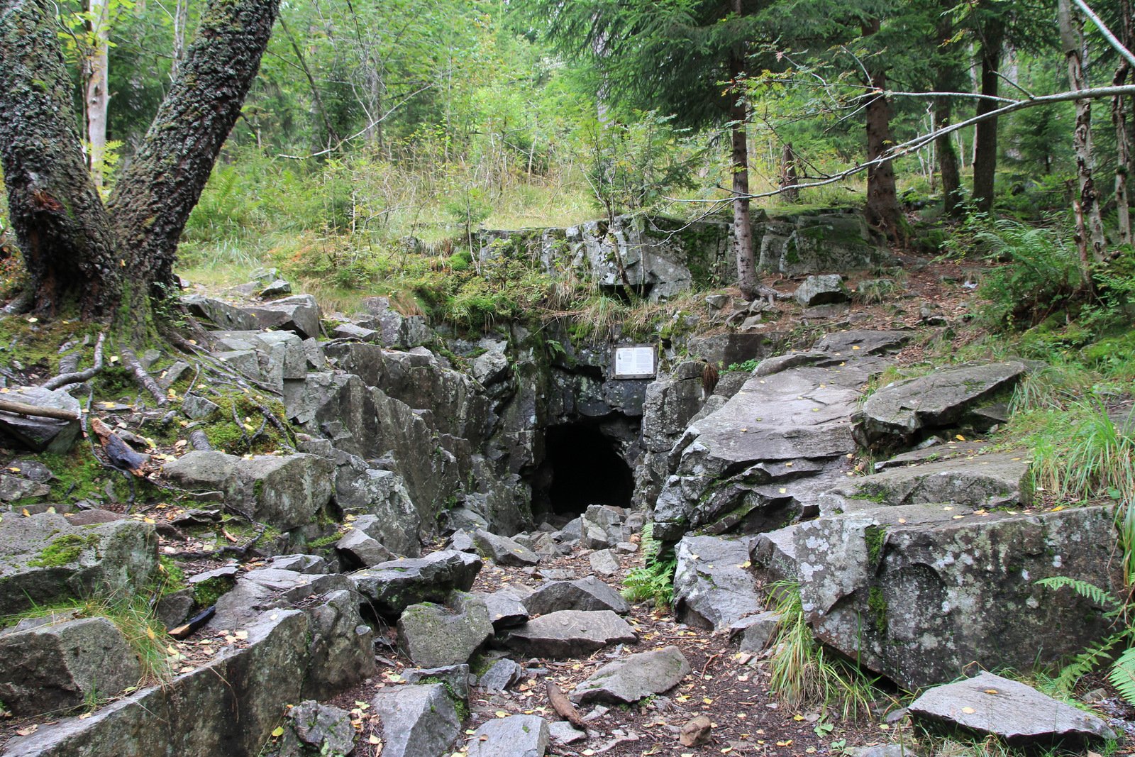 Полюбити Осло: Топ-4 місця, про які мало хто чув