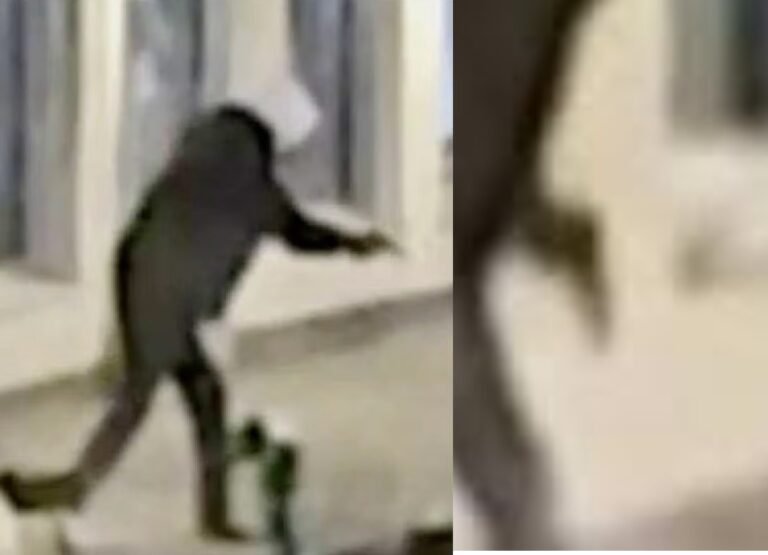 młodociany przestępca, strzał do leżącego