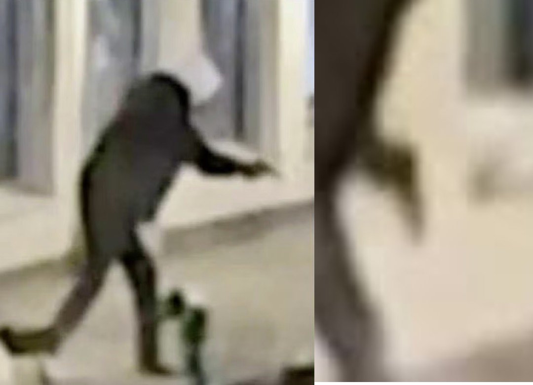 Pracownicy ośrodka opiekuńczego nieświadomie ułatwiali popełnianie przestępstw