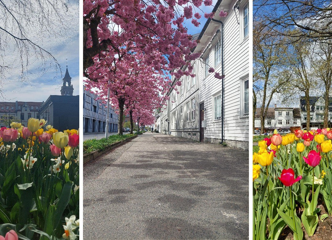 Kristiansand: A Daughter, That Has Seen 385 Springs 